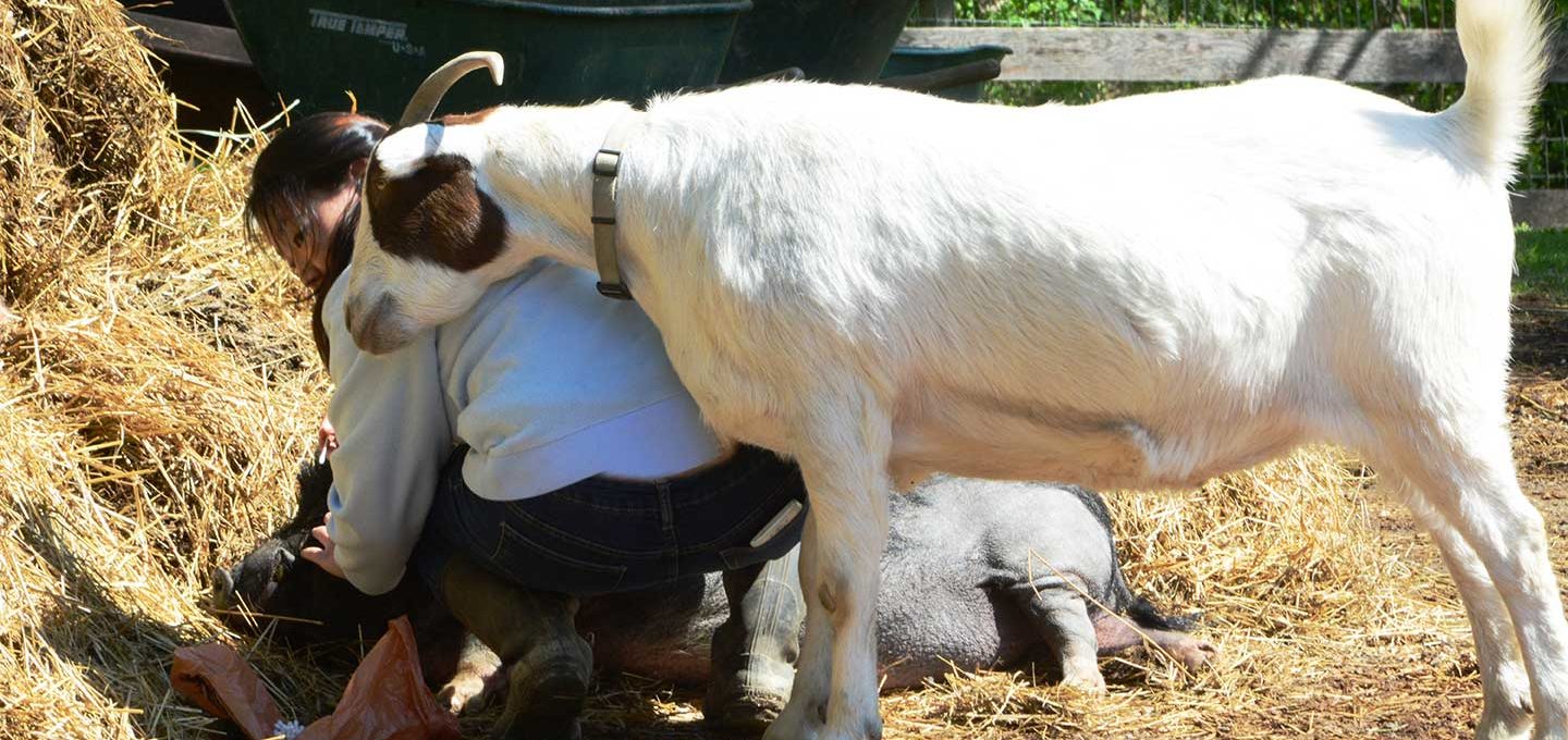 “Some people talk to animals. Not many listen though. That’s the problem.”