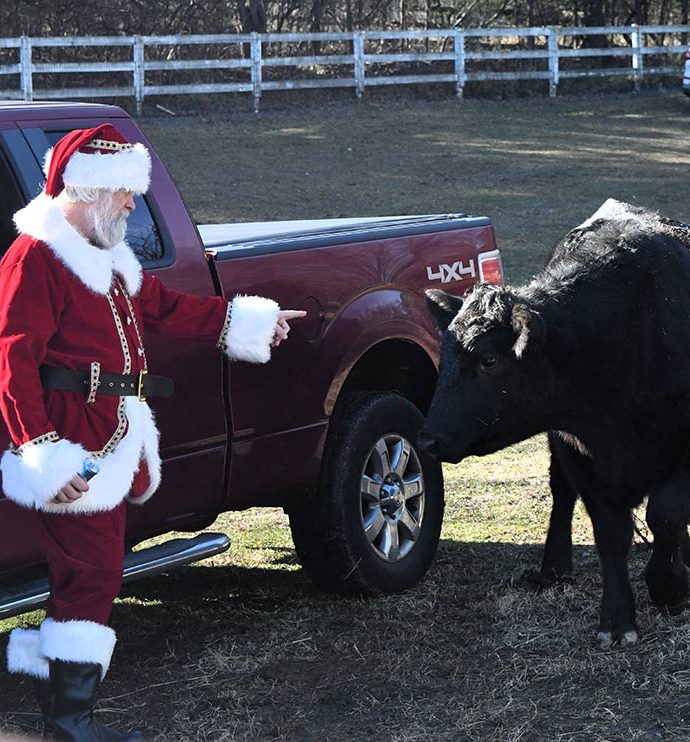 It’s not too late! Check out the animals’ letters to Santa Claus!